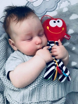 Grzechotka ośmiornica czerwona