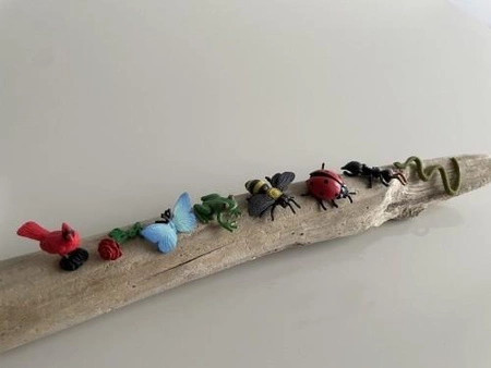 Safari Ltd. Zestaw Figurek Mini Życie w Ogrodzie