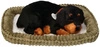Perfect Petzzz Oddychający Szczeniaczek Rottweiler