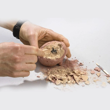 Jajko wykopaliska, Figurka Dinozaura, Zestaw naukowy