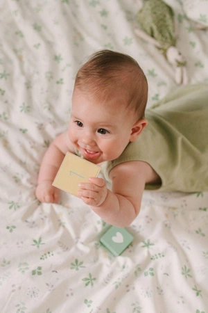 3 Sprouts Pudełko Zamykane Dinozaur Green