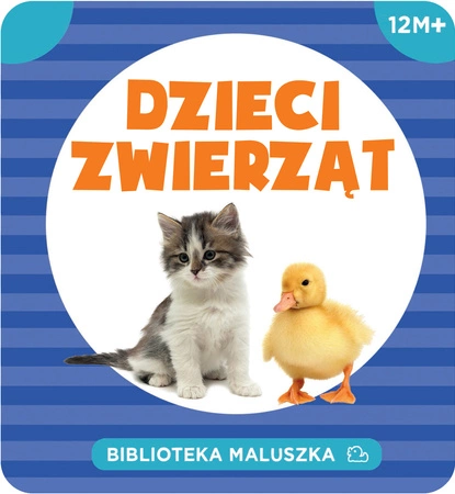 Dzieci zwierząt