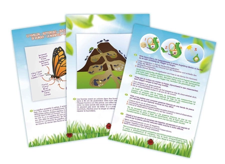 Zestaw do badania insektów BL033