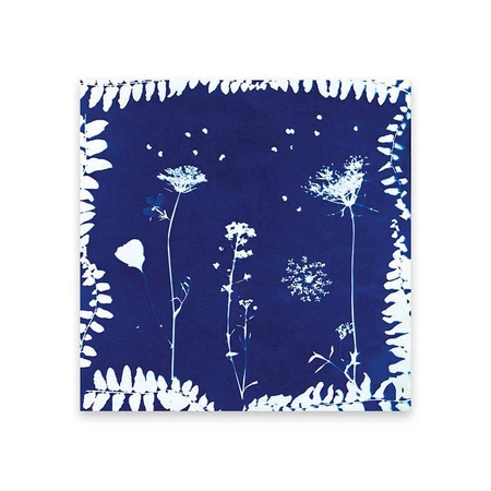 Multizestaw kreatywny 6 dekoracji z użyciem prasy do kwiatów 7+, Janod