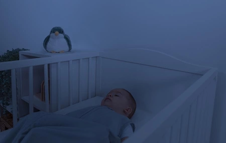 Zazu SHALLY Projektor Zachodzącego Słońca Ptaszek