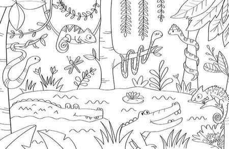 Auzou Duża kolorowanka Zwierzęta świata 94941