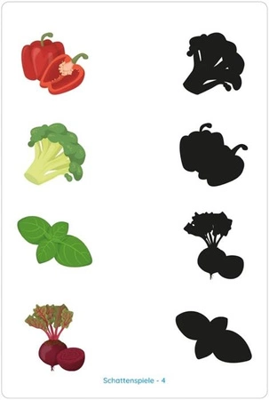 WiemTo Karty Edukacyjne Zabawy z Cieniem Lemo