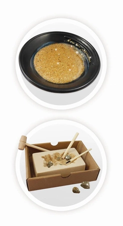 Poszukiwacze złota BUKI