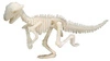 Bones&More, Duży szkielet dinozaura - wykopalisko odcisk łapy