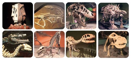 Scratch, Latarka/Projektor XL DINO z pojemnikiem na tarcze/ 24 obrazy