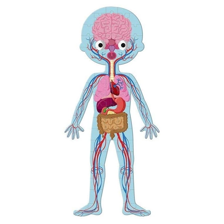 Puzzle edukacyjne gigantyczne Ciało człowieka 50, 75 i 100 elementów 5 +, Janod