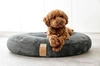 PALOPA Okrągłe legowisko donut dla psa Fippa anthracite S