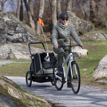 Hamax - Przyczepka rowerowa dla psa - Pluto M do 35 kg - Green / Black