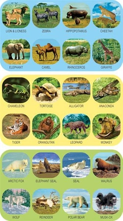 Projektor ' Dzikie zwierzęta '