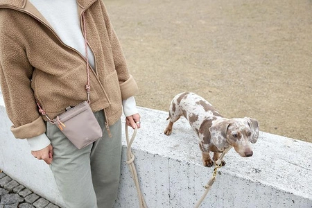 PALOPA Torebka saszetka na smakołyki dla psa Karl taupe M