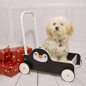 Drewniany pchacz Pingwin