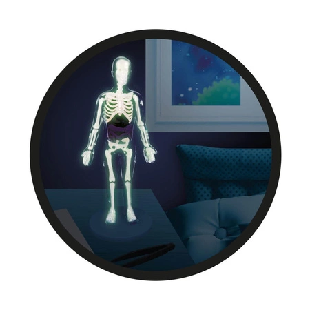 Ciało człowieka 2163