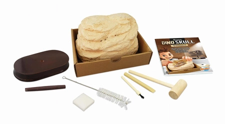 Muzeum czaszek dinozaura - TYRANOZAUR 2130