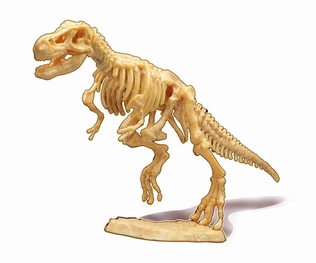 Mały paleontolog - Tyranozaur 445TYR