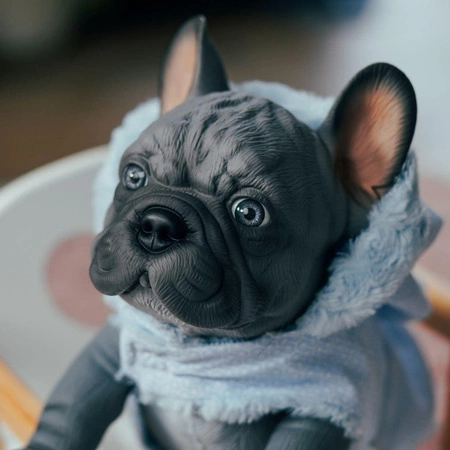 Piesek Nono Buldog Francuski Asi 0617610