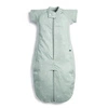 ergoPouch Śpiworek Kombinezon 2-4L 1.0TOG Sage