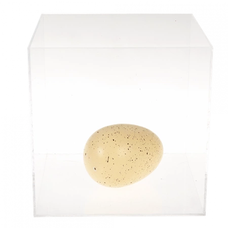 Dinozaur wykluwający się z jajka, zestaw kreatywny, Dinozaury, 3+, Rex London