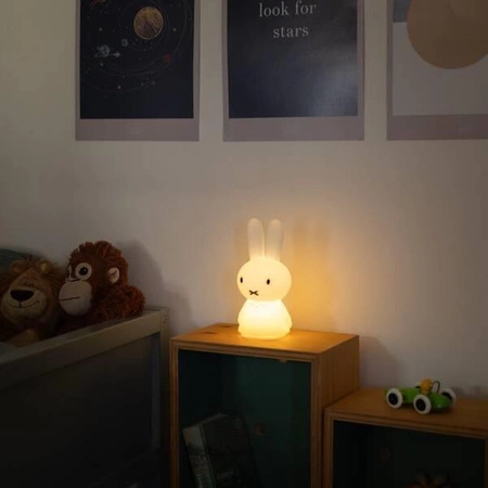 MrMaria Miffy Shines