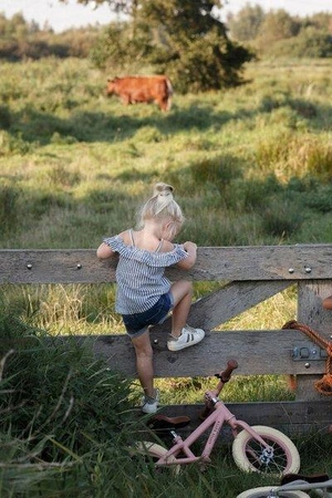 Little Dutch Rower biegowy Róż Mat LD8000