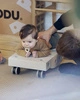 MODU - Scooter Board - czerwony