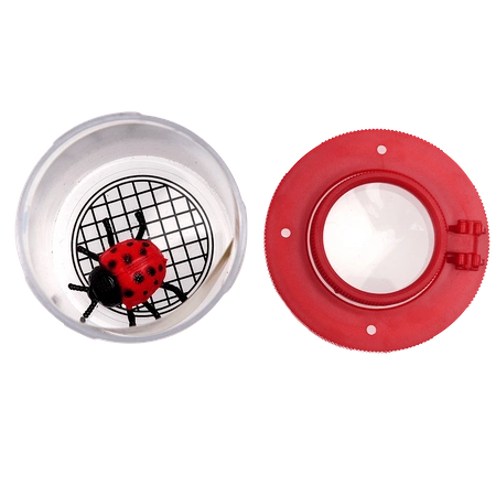 Pudełko ze szkłem powiększającym, Cuda Natury, Rex London