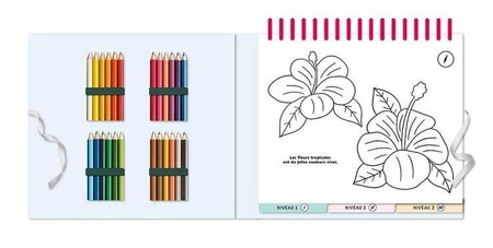 Auzou Zestaw 50 kolorowanek wraz z kredkami Natura 95580