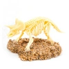 Szkielet dinozaura, Foremki, Wykopaliska, Triceratops, Zestaw naukowy, GeoSafari Jr.