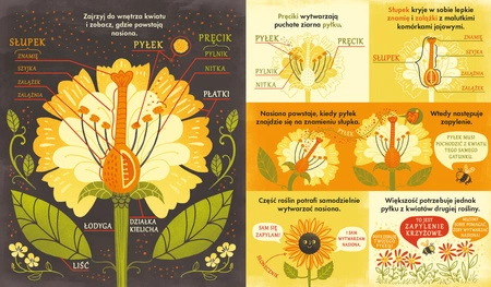 Co się kryje w kwiatku? Fascynujące ciekawostki przyrodnicze