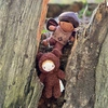 Laleczka w pudełku - Forrest Wróżek Zębuszek, ThreadBear Design