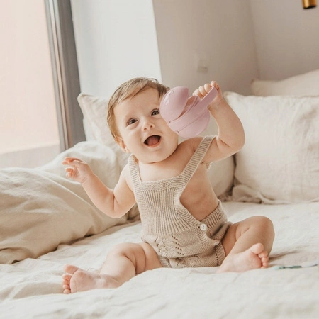 SUAVINEX ETUI POJEMNIK Opakowanie na 2 smoczki