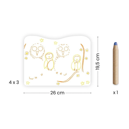 Magiczne kolorowanki - LEŚNE RODZINKI DJ00064