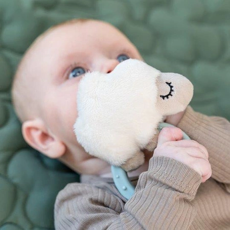 Done by Deer Grzechotka z Gryzakiem Owieczka Sheepy