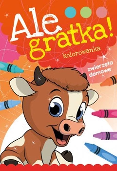 Zwierzęta domowe ale gratka