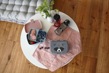 Lassig Zestaw na lunch Lunchbox + Tritanowa butelka - bidon 460 ml About Friends Szop