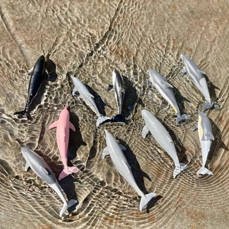 Safari Ltd. Zestaw Figurek - Delifny