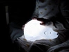 Projektor lampka LED miś Bjorn FLOW AMSTERDAM