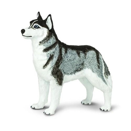 Safari Ltd. Figurka Pies Husky Syberyjski