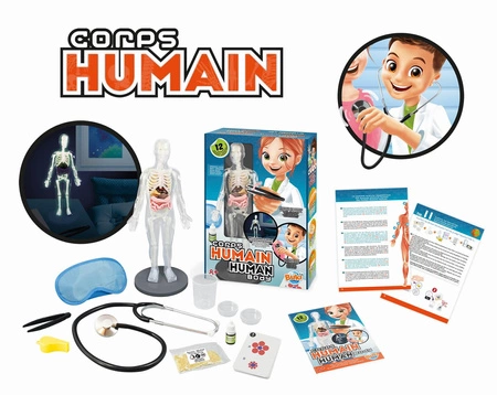 Ciało człowieka 2163