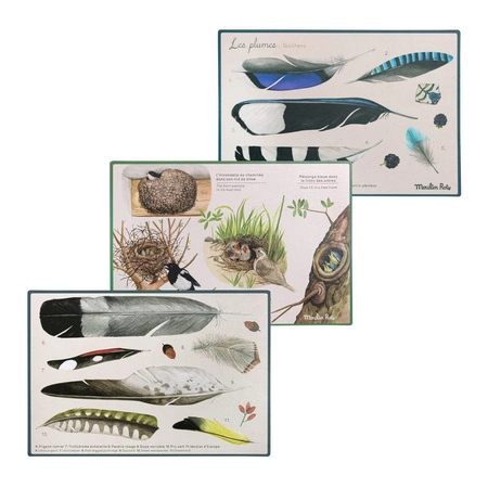 Pudełko "ODKRYWCY PTAKÓW" Moulin Roty 712151