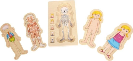 Układanka dla dzieci, Lekcja anatomii z Katarzynką, 5814-small foot, puzzle drewniane