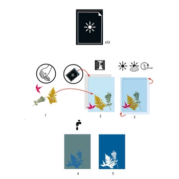 Zest. art. cyjanotypia - zapasowe arkusze  DJ09338