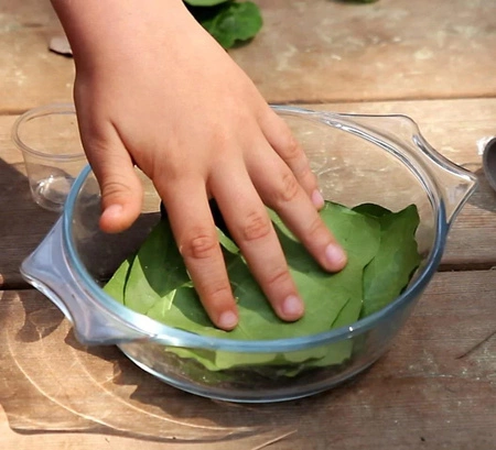 Zestaw do robienia eksperymentów The Purple Cow - Szkoła Przetrwania