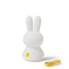 MrMaria Miffy Shines