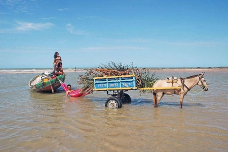 Amazonas Hamak Barbados Grenadine