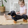 Duża przytulanka Jamnik pluszak XL 14854 Melissa & Doug